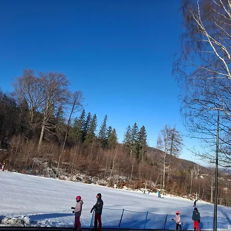 Apartment Wilczy Zakatek *