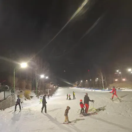 Apartment Wilczy Zakatek *