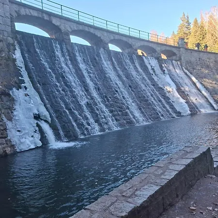 Apartment Wilczy Zakatek