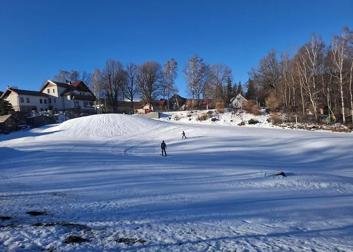 Wilczy Zakątek Apartament *