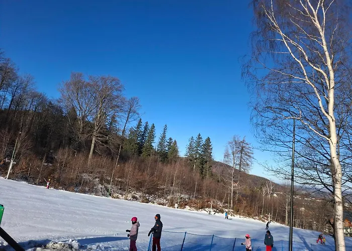 Apartament Wilczy Zakątek *