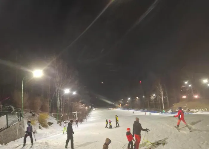 Apartament Wilczy Zakątek *