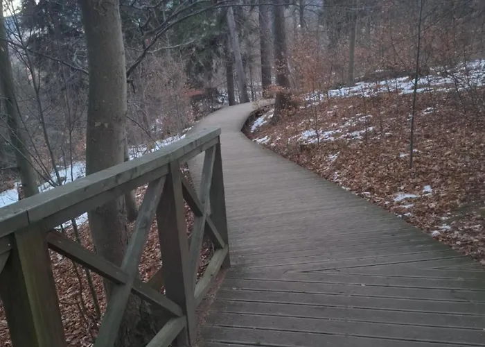 Wilczy Zakątek Apartament *