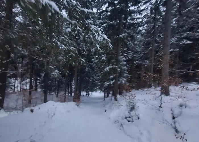 Wilczy Zakątek Karpacz