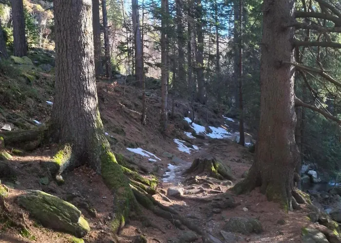 Apartament Wilczy Zakątek Karpacz